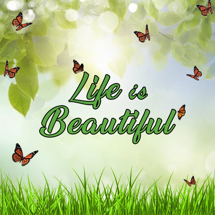 Life is Beautiful